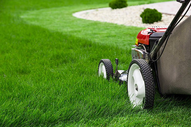 Lawn Maintenance